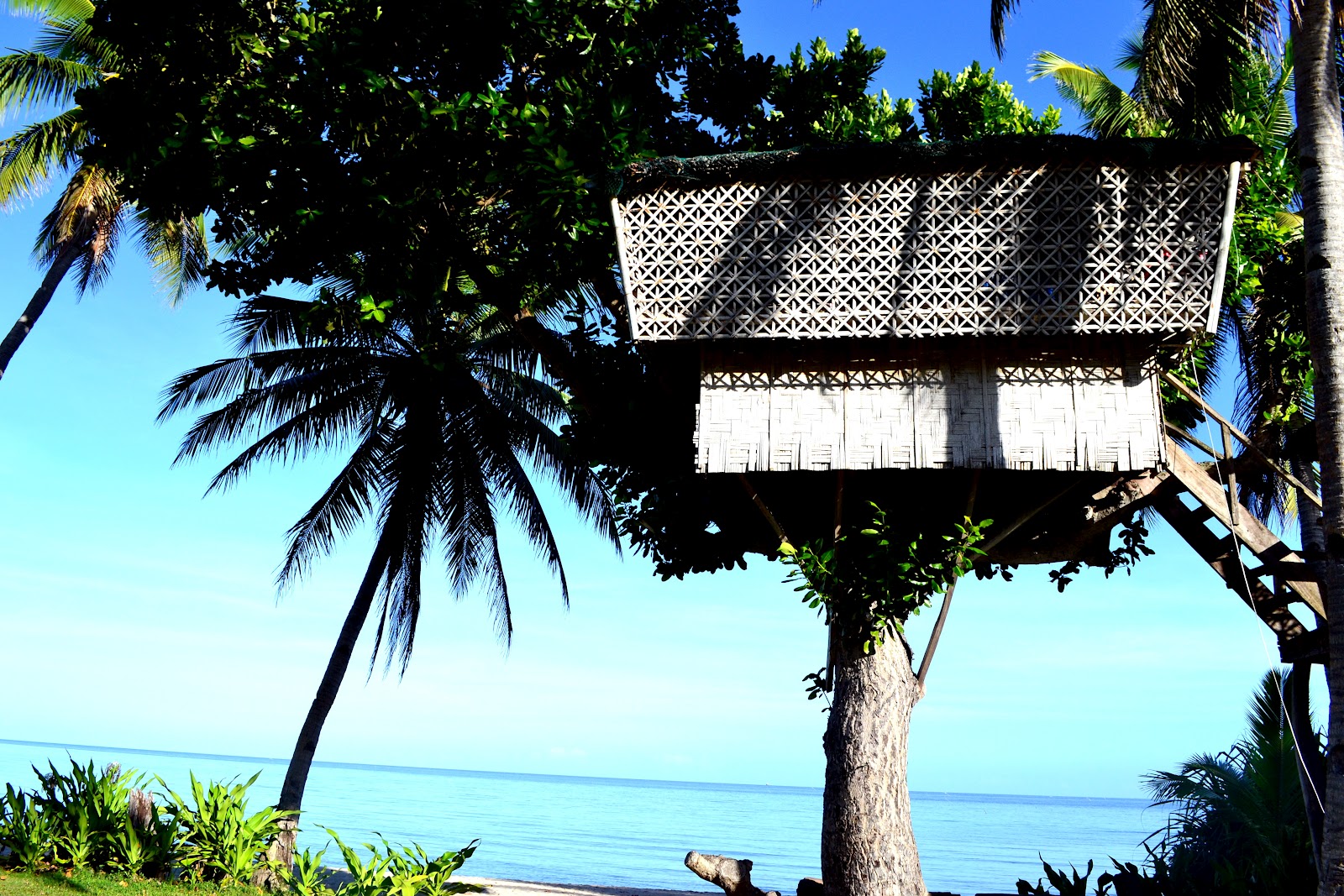 I love LIFE. I live LOVE.: Masbate: A Taste of Country II Balud Ranch ...
