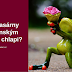 Amateri.com #2 Jaké prasárny píší ženským nadržení chlapi?