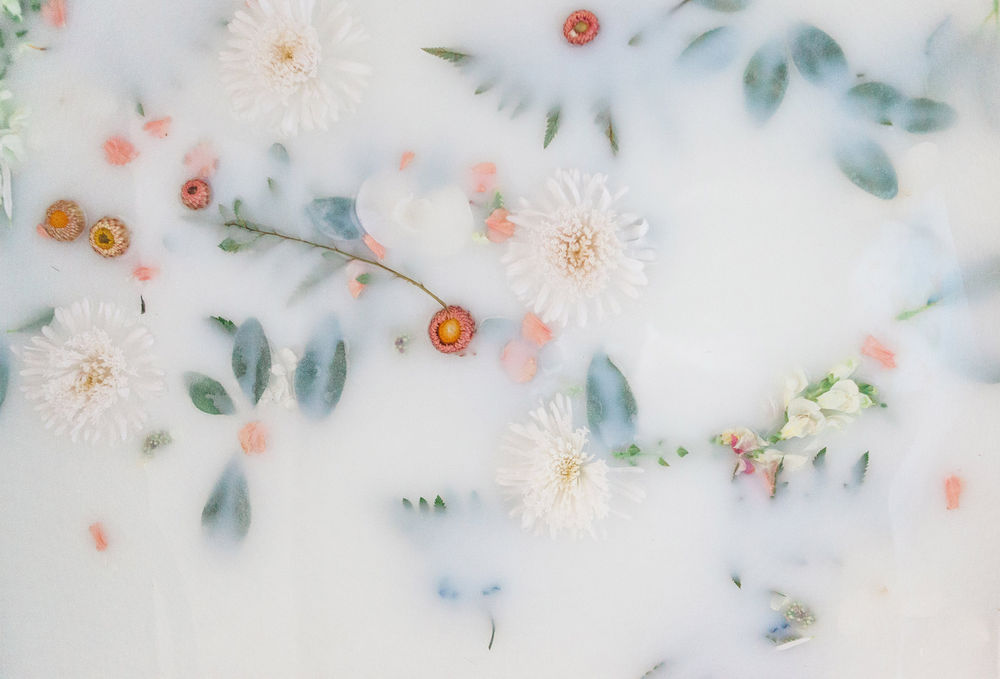 Backyard Patch Herbal Blog Sun Healing Milk Bath Bath Blend of the Month