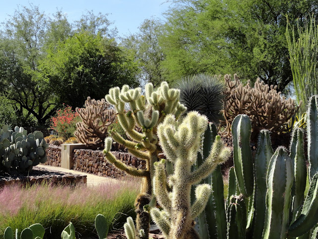 danger garden: I need a little sunshine and warmth! Off to the Desert ...