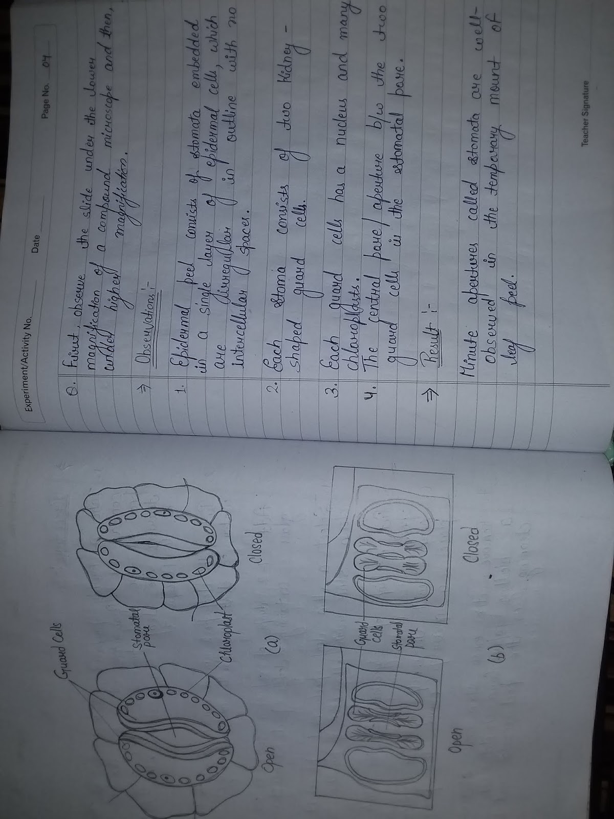Class 10 cbse science experiment. ~ Yadav Anurag Creations