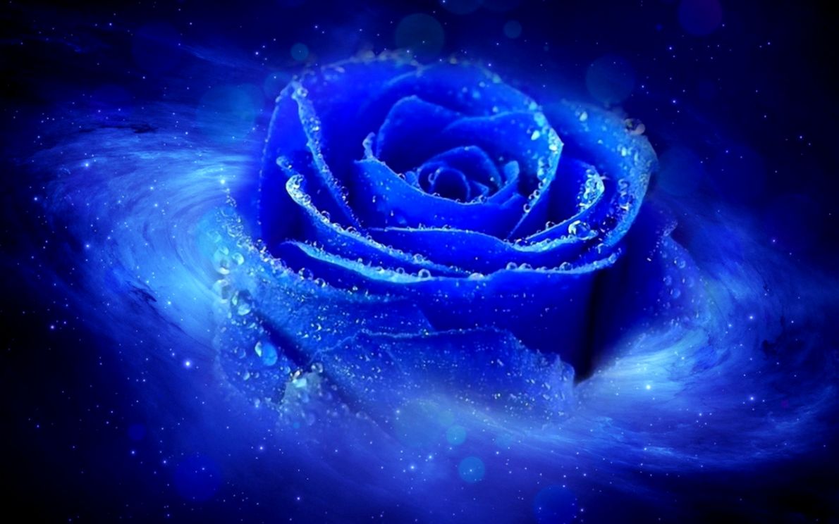 3d blue rose desktop cool wallpapers backgrounds list cool wallpaper backgrounds