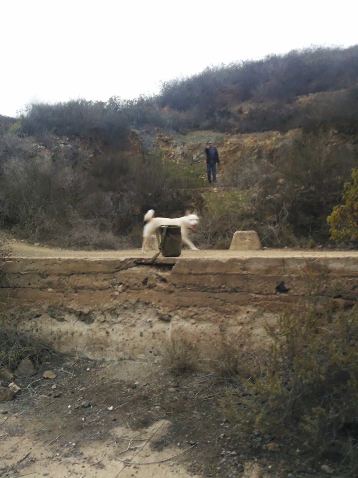 Rockchaser Copper Creek, San Marcos, California