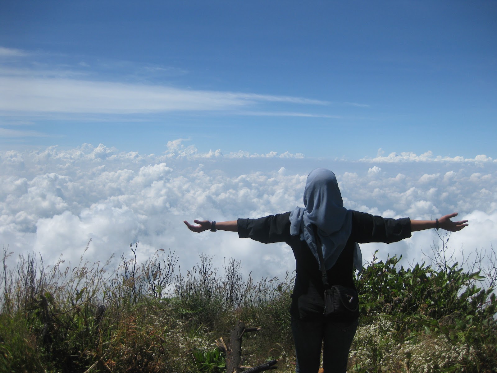 Image result for berteriak di gunung