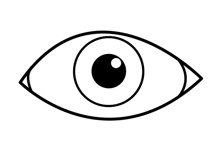 RECURSOS y ACTIVIDADES para Educación Infantil: Dibujo para colorear de