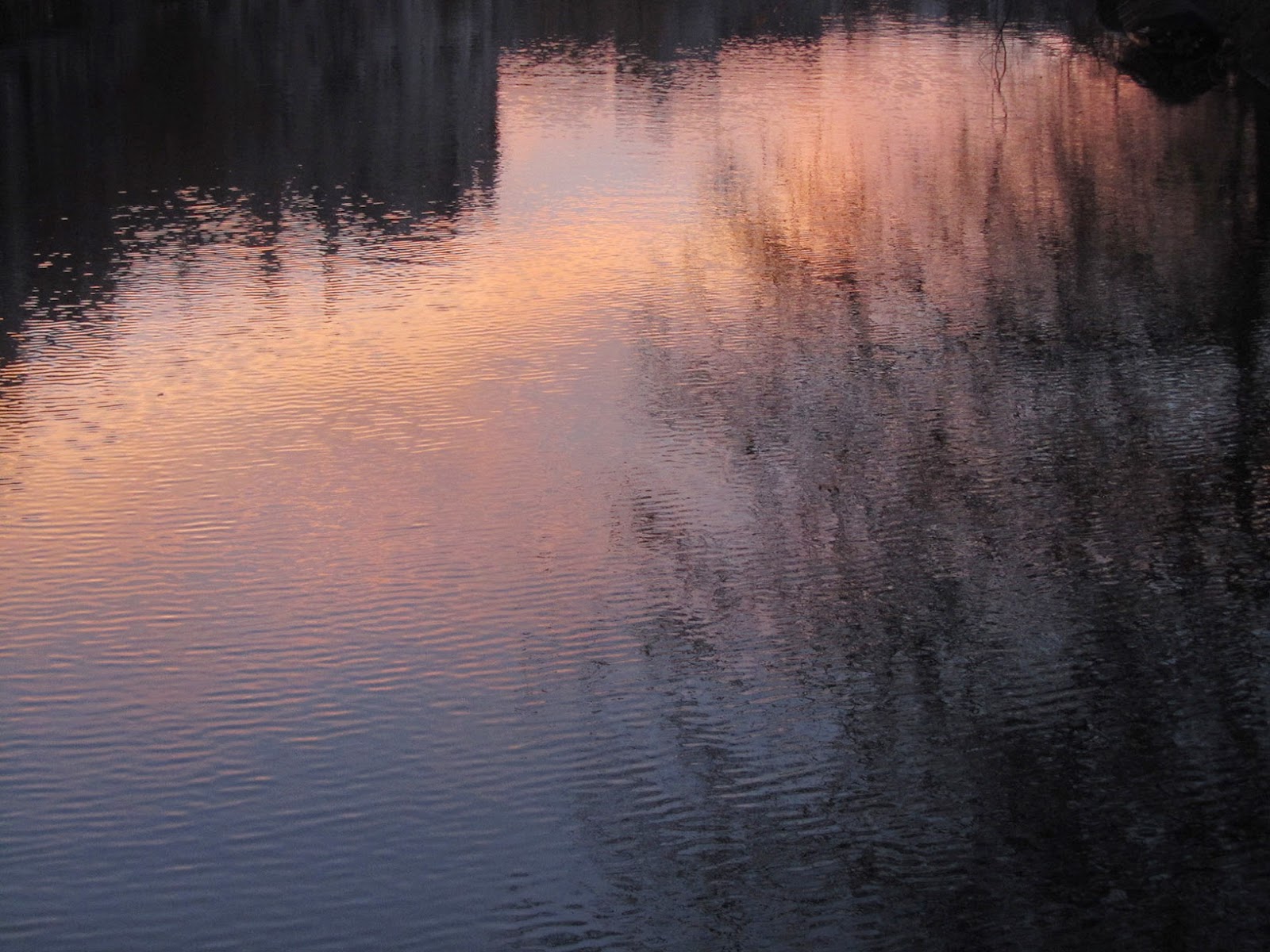 reflection of a pink sunrise in a canal