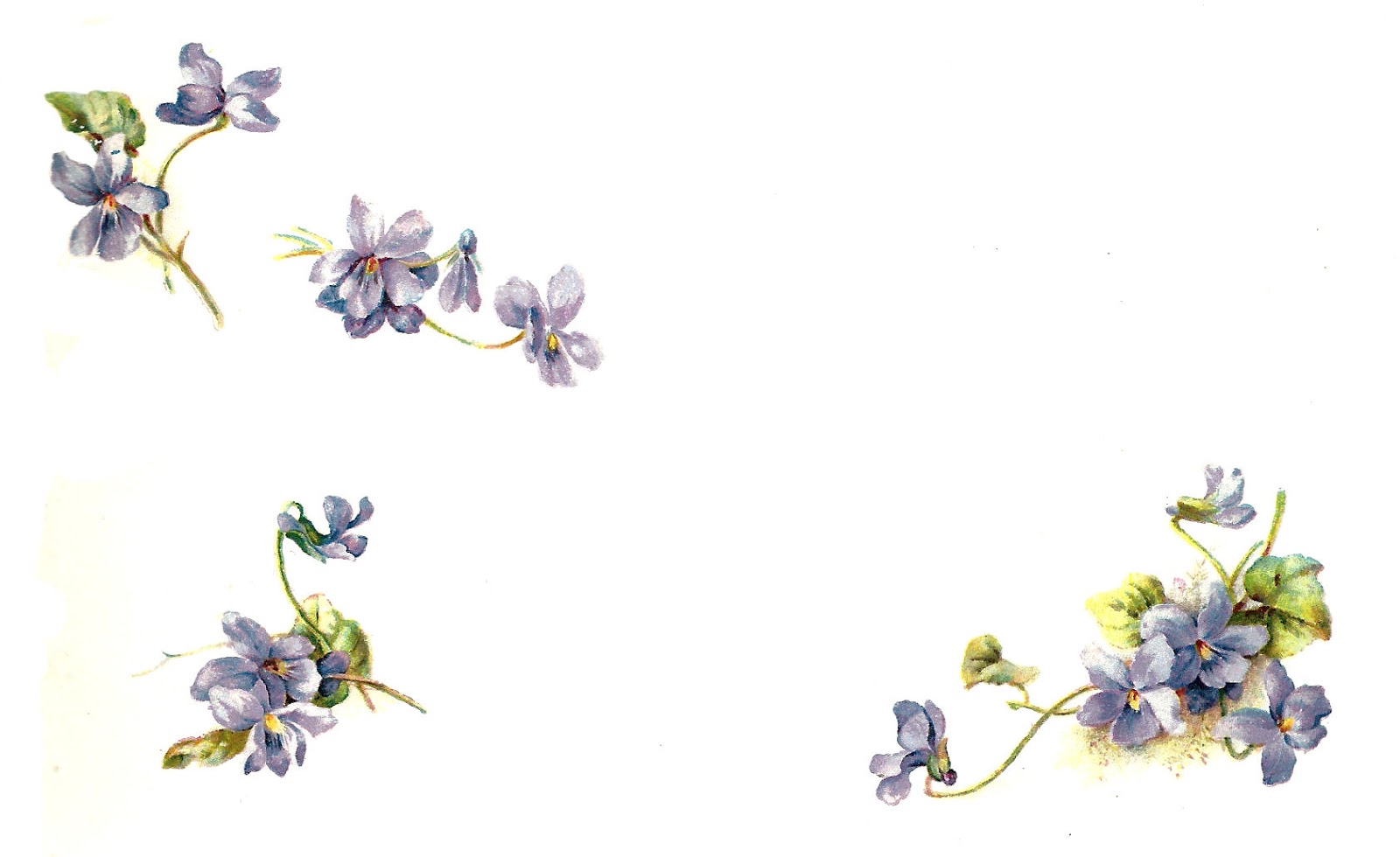 free clip art forget me not flowers - photo #7