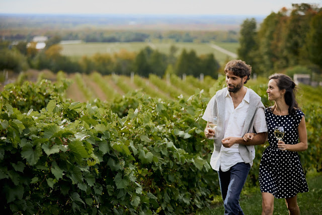 la route des vins Brome-Missisquoi vignobles québec la route des vins Brome-Missisquoi vignobles québec