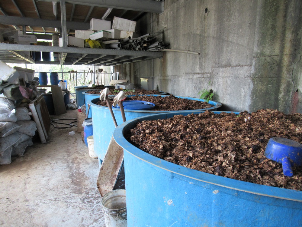台灣最北端有機農場-石門有機農場引進蚓菜共生有機農法種植蔬果,不僅可以成為零廢棄物農場,種出的瓜果、蔬菜還特別可口、漂亮。 台灣最北端有機農場-石門有機農場引進蚓菜共生有機農法種植蔬果,不僅可以成為零廢棄物農場,種出的瓜果、蔬菜還特別可口、漂亮。