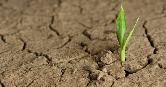 Just Because Something Is Not Happening For Me Right Now Doesn