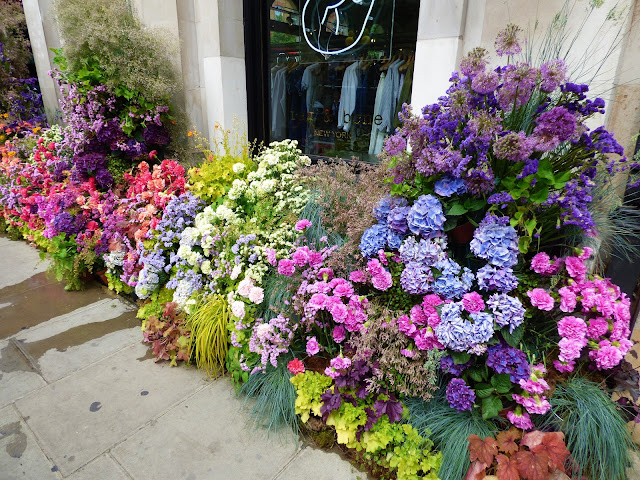 Floral arch in Sloane Square, London, for Chelsea in Bloom 2018 free flower festival