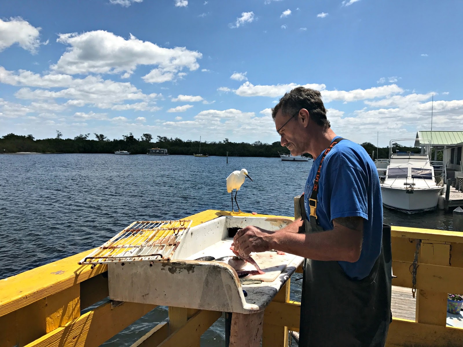 Pine Island, Florida Real Estate Sales on Pine Island, Florida 2017