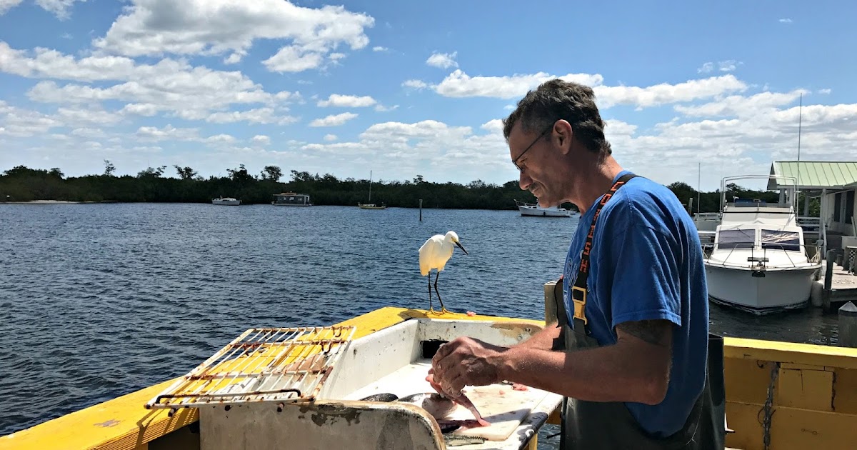 Pine Island, Florida Real Estate Sales on Pine Island, Florida 2017