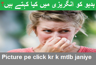 badbudhar بدبو meaning in english Stink means in urdu ~ Watch And Learn