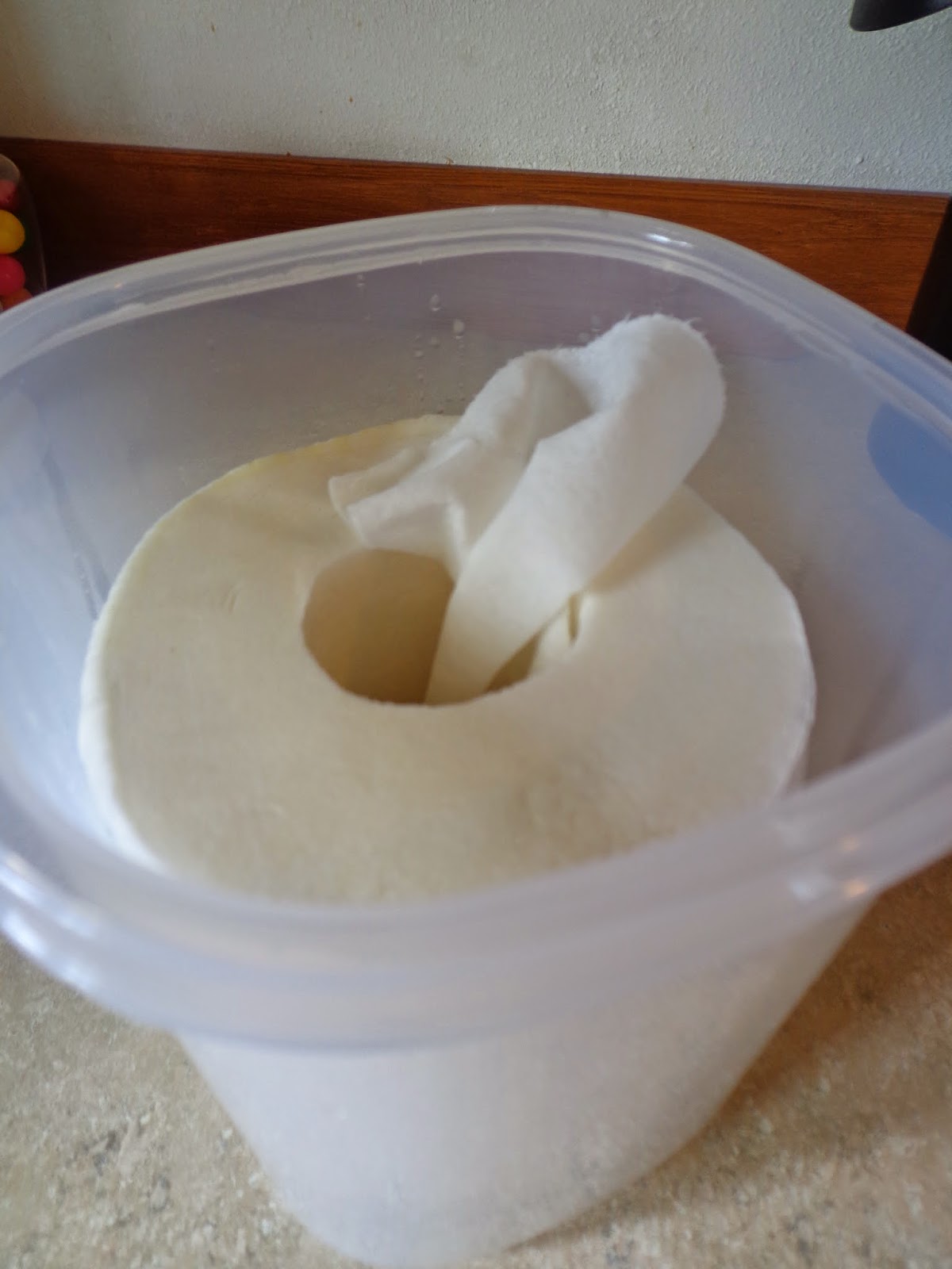 The Colbert Clan DIY Baby Wipes with Viva Vantage