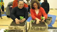 The Happy Gardener: Beating the Blues with a Green Thumb 