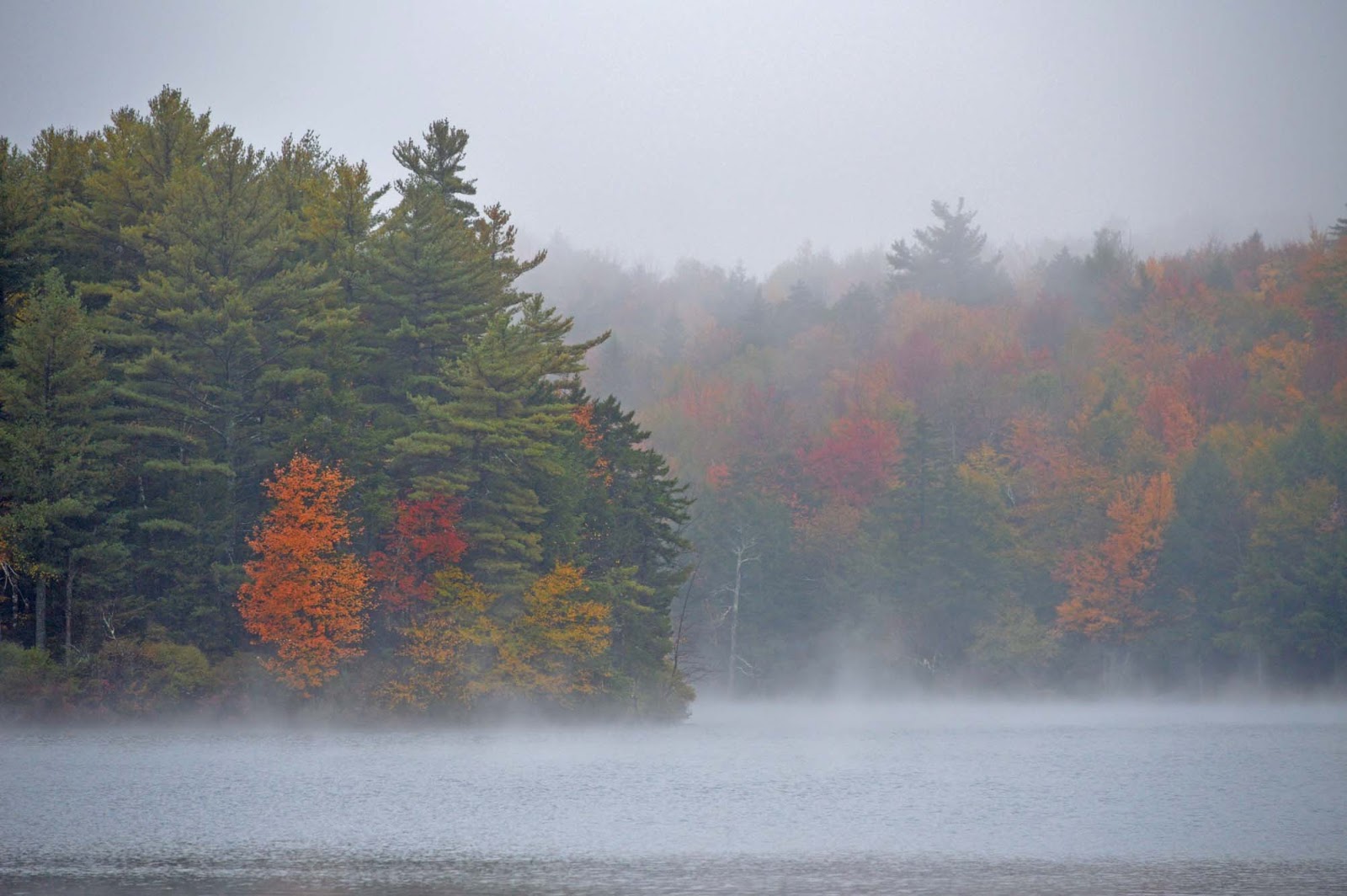 Diana’s Little Corner in the Nutmeg State Leaf Peeping In New Hampshire