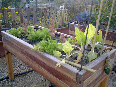 Agroturismo Arkaia: octubre 2011