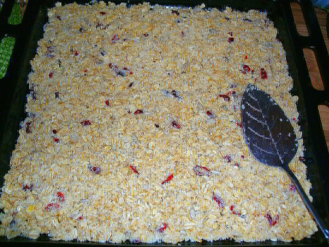 backe-backe-kuchen: (Kokos-) Müsliriegel