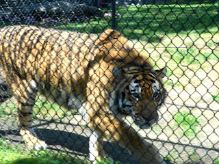 Cape May County Park & Zoo in New Jersey