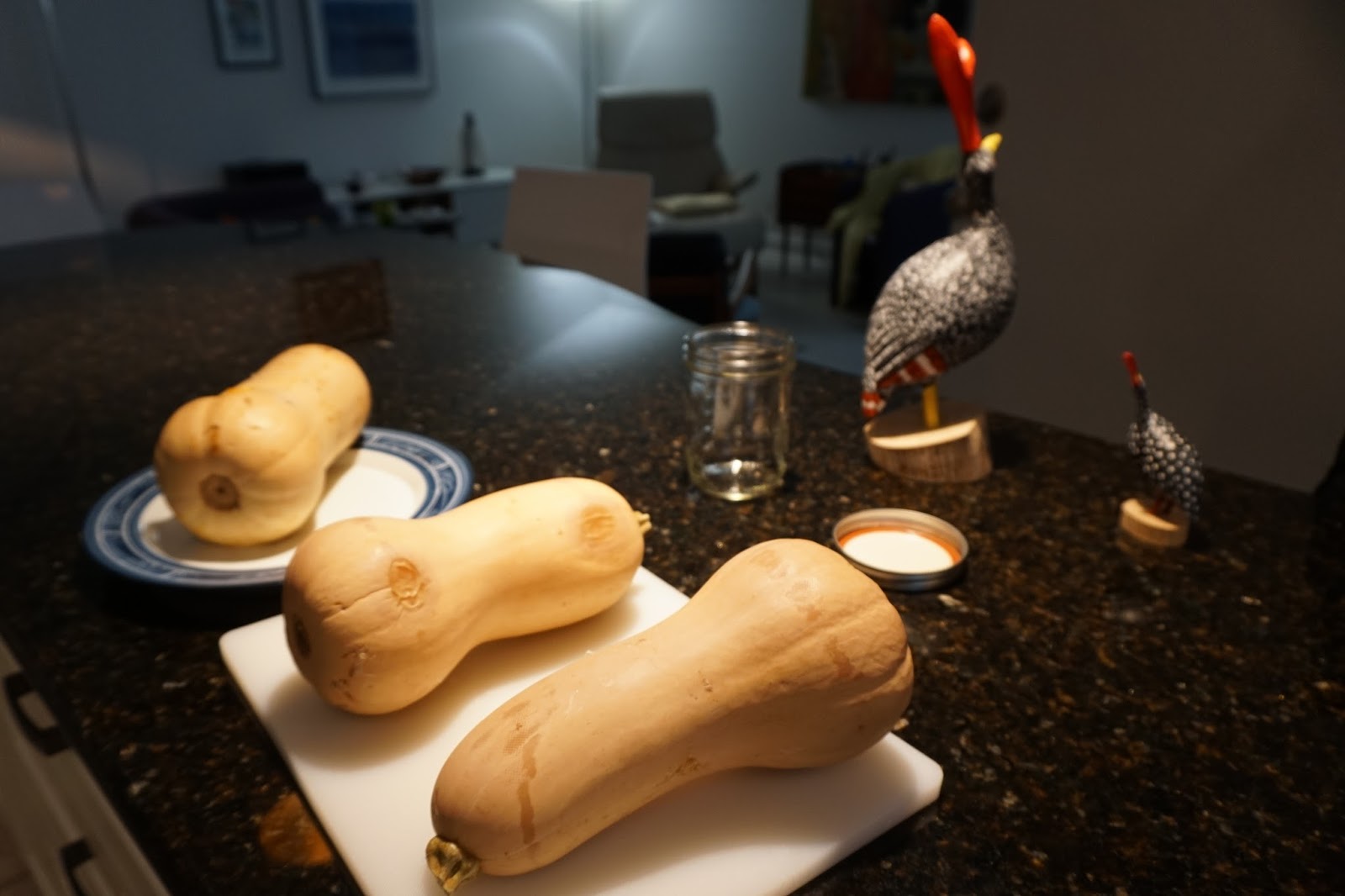 musings florida snow shovel