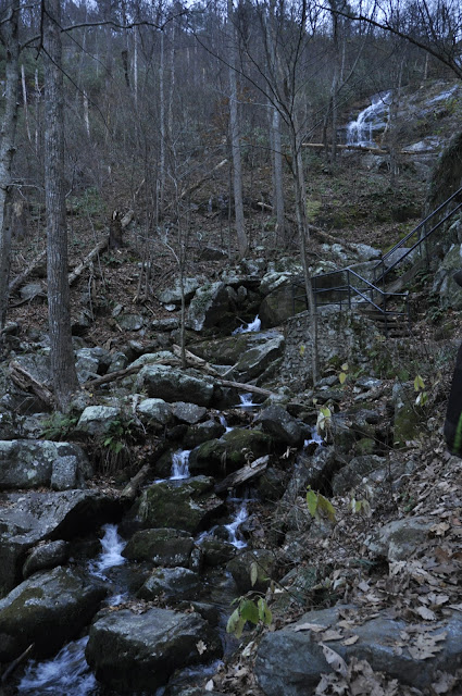 Solid Rock Ranch Updates