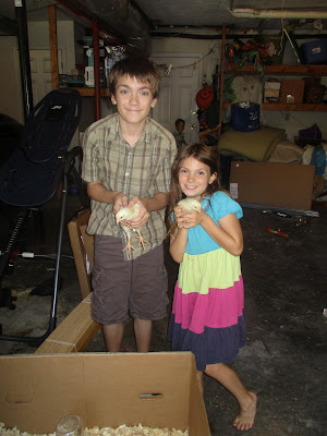 Barefoot Kentucky Mama