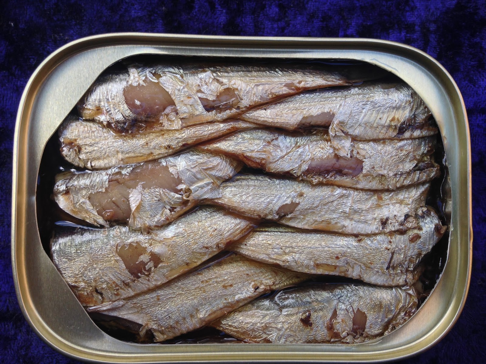 Sardine Container and Why You Need It Sardine Fish Indonesia, Sardine