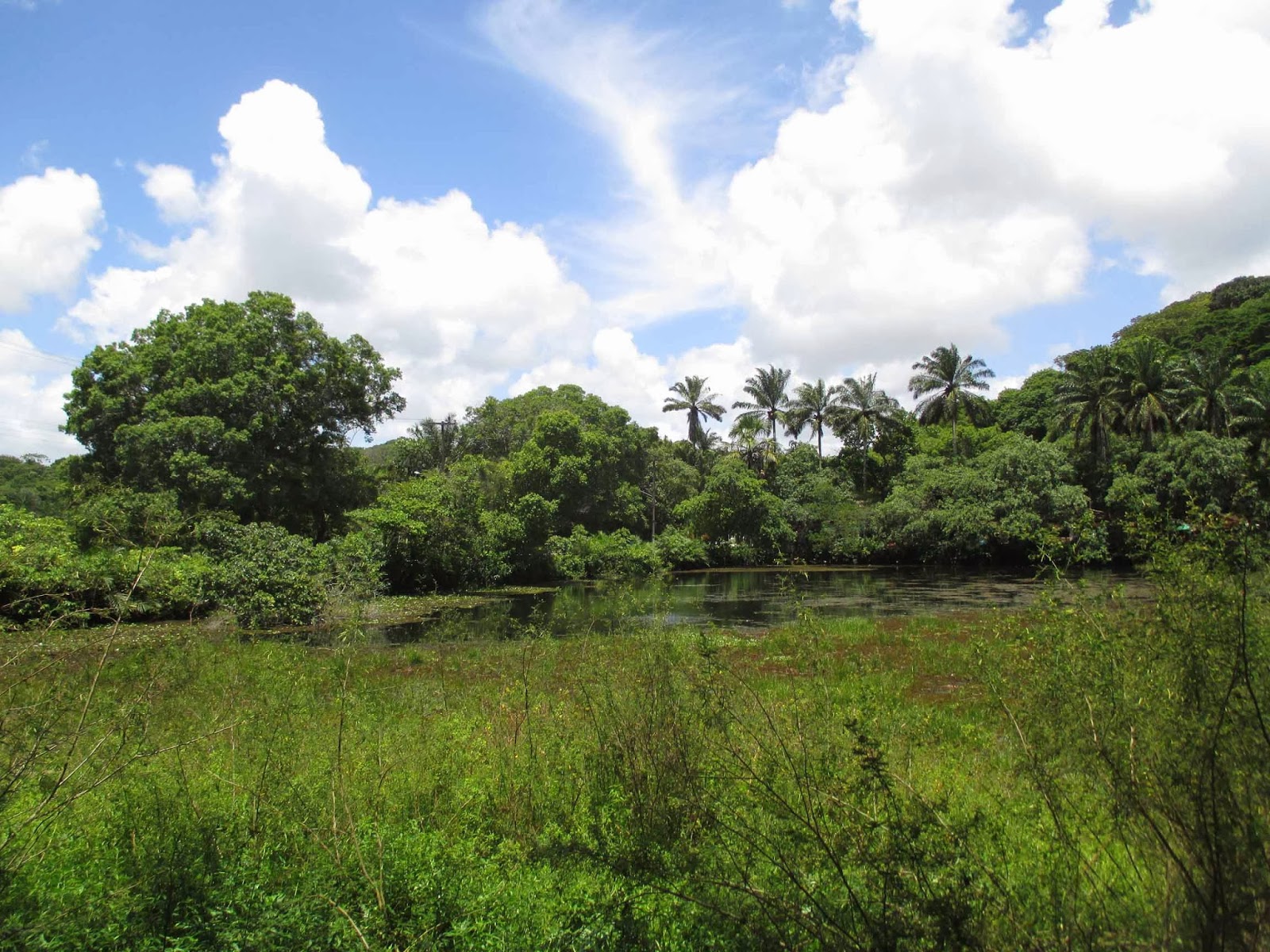 Eric & Autumn's World Roll Up