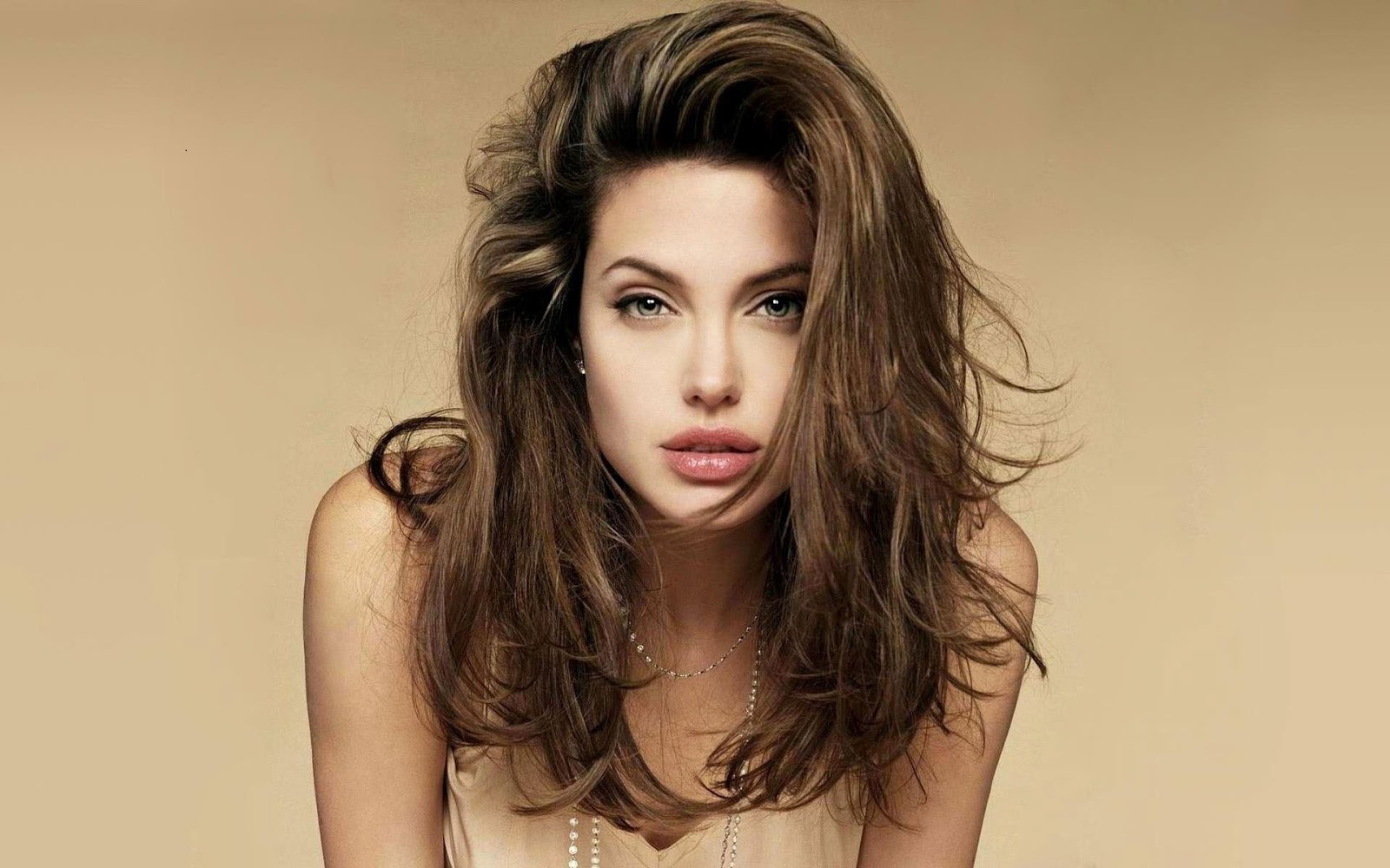 Hollywood Actress Angelina Jolie Crazy Look HD Wallpapers | Bollywood