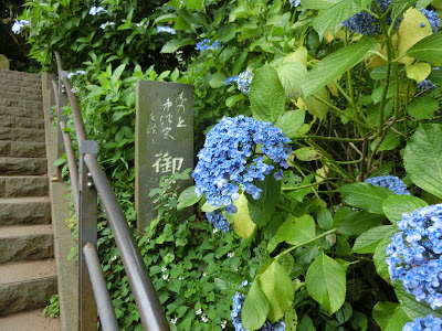 �]�̓��̂�������