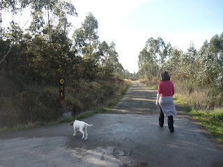 Camudando'l camín El Valle (Carreño) Monte Areo