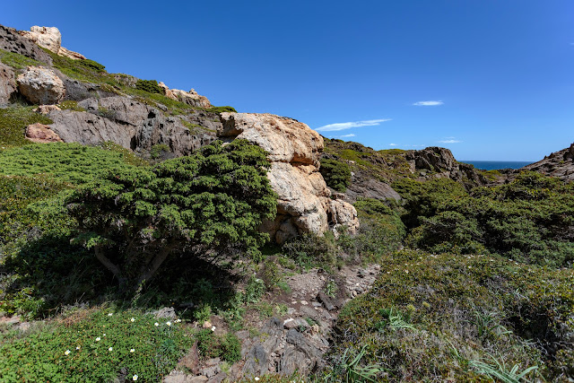 Природный парк Cap de Creus