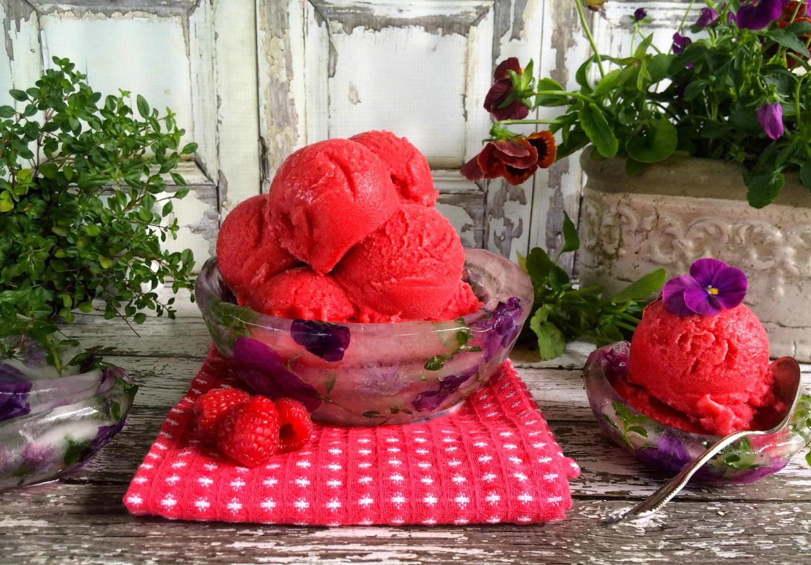 Raspberry Rose Sorbet in Floral Ice Bowls via Butter Basil & Breadcrumbs for thefrugalfoodiemama.com
