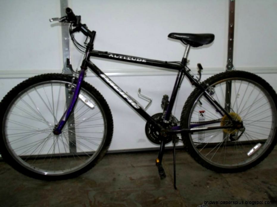 Pacific Altitude Mountain Bike 21 Speed