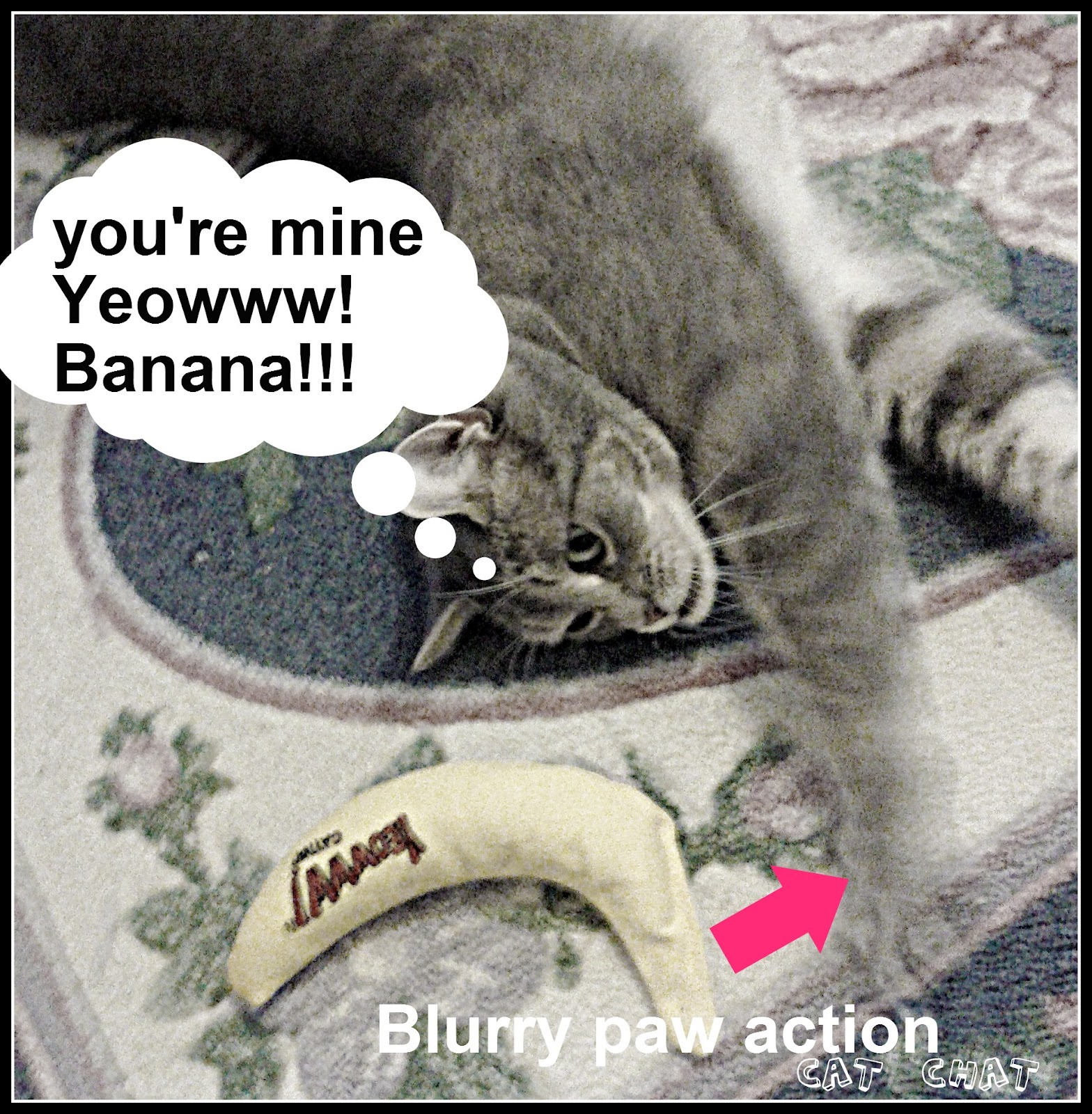 Cat and DOG Chat With Caren Yeowww! Catnip Banana from
