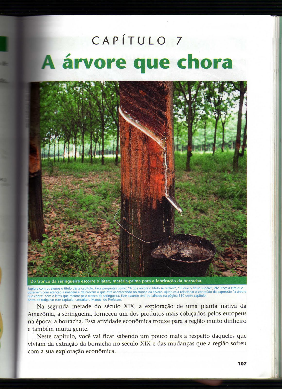 Aprendendo com o Blog Atividade Aprendendo com o Blog Atividade