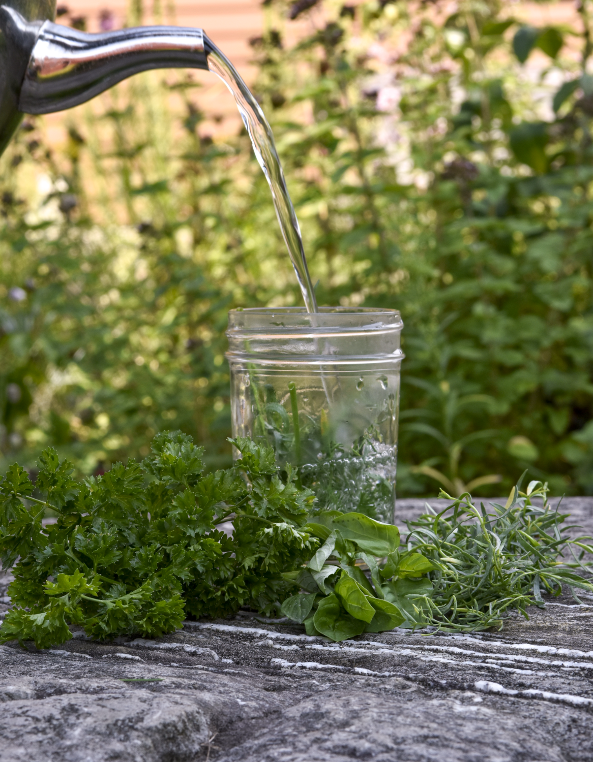 Herbal Tea for Backyard Chickens Fresh Eggs Daily®