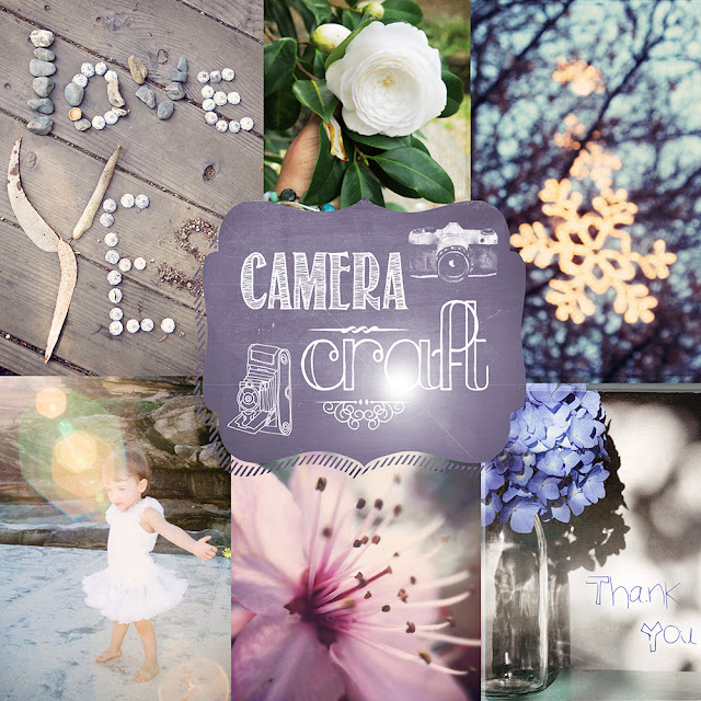 Camera Craft Photography e-course on line workshop Galia Alena