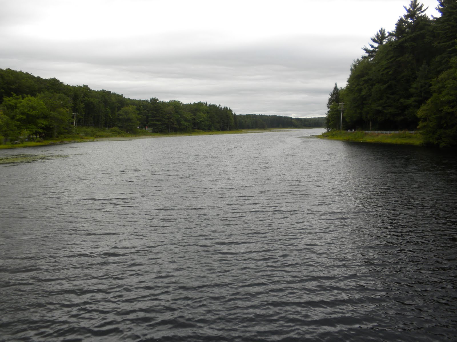 Adventures and Places Black Moshannon PA State Park