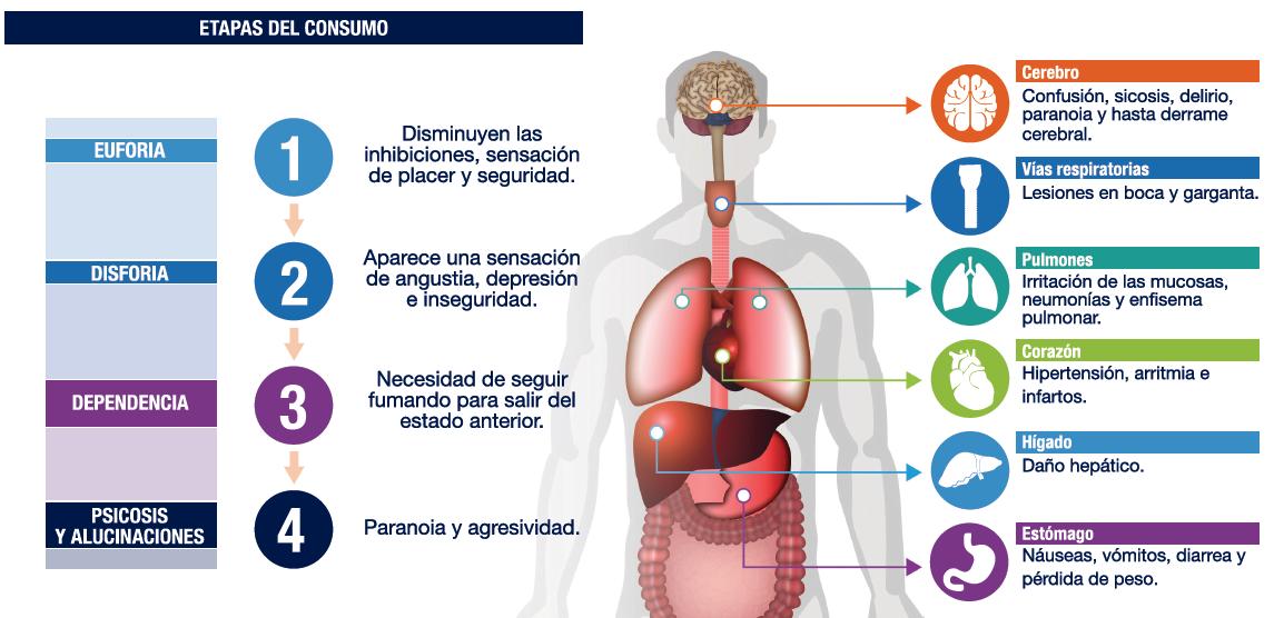 Así Surgen...: Noticias policiales PDI