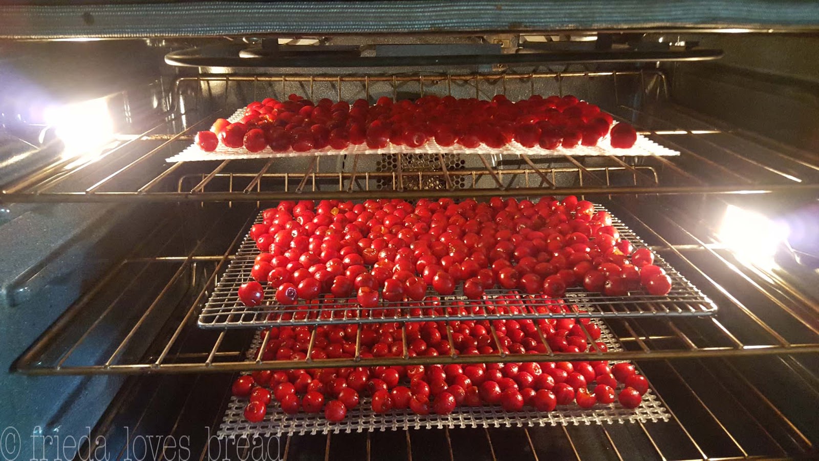Frieda Loves Bread Oven Dried Cherries & Bonus Simple Syrup!