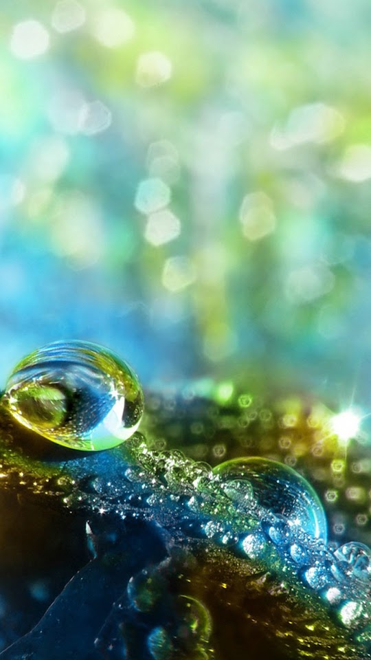 Green Water Drops Macro Samsung Galaxy S5  Android Best Wallpaper
