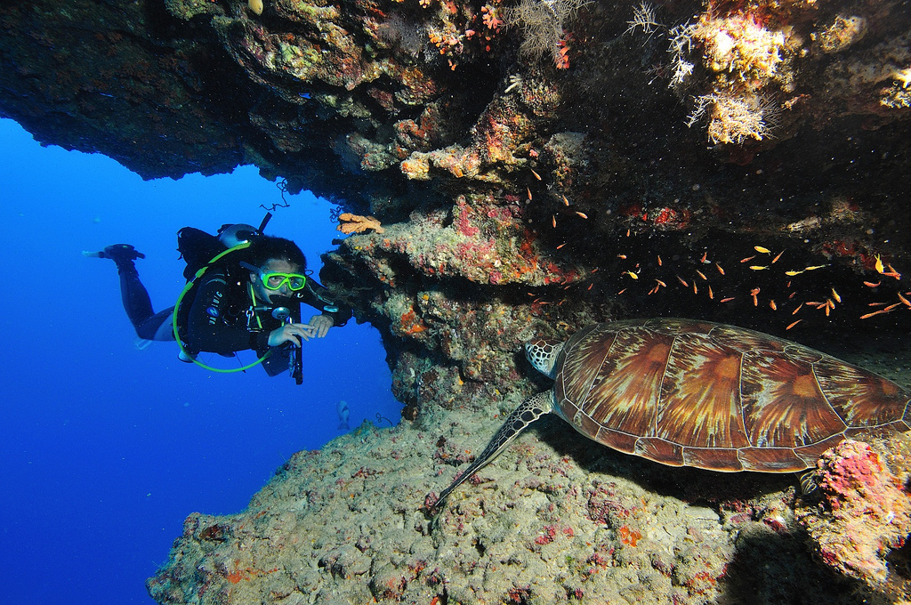 diving holiday maldives