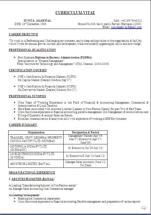 example resume profile free download