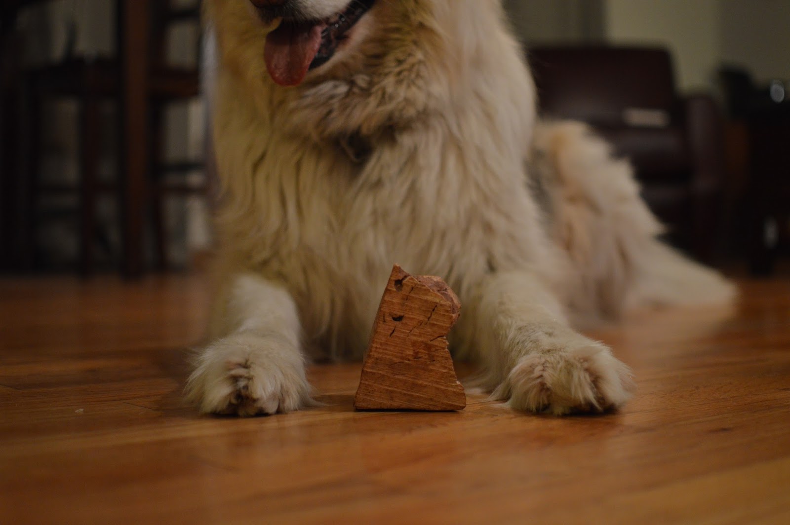 barkworthies root chew