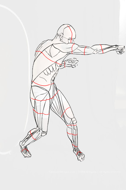 Goodend Graphics: The Understanding of the Human Anatomy Has Been Completed