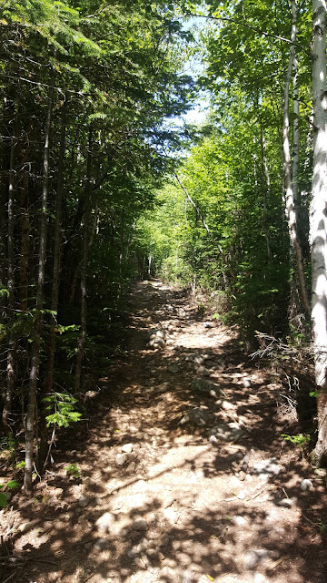 Sentier en direction du mont Elie