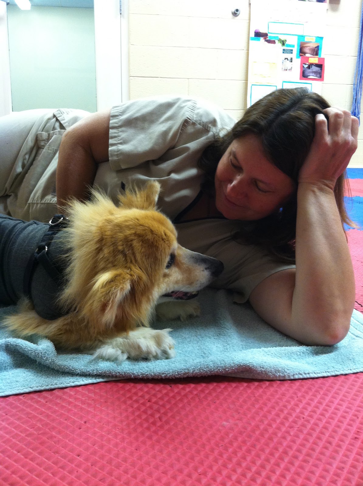 Llyr a Welsh with DM