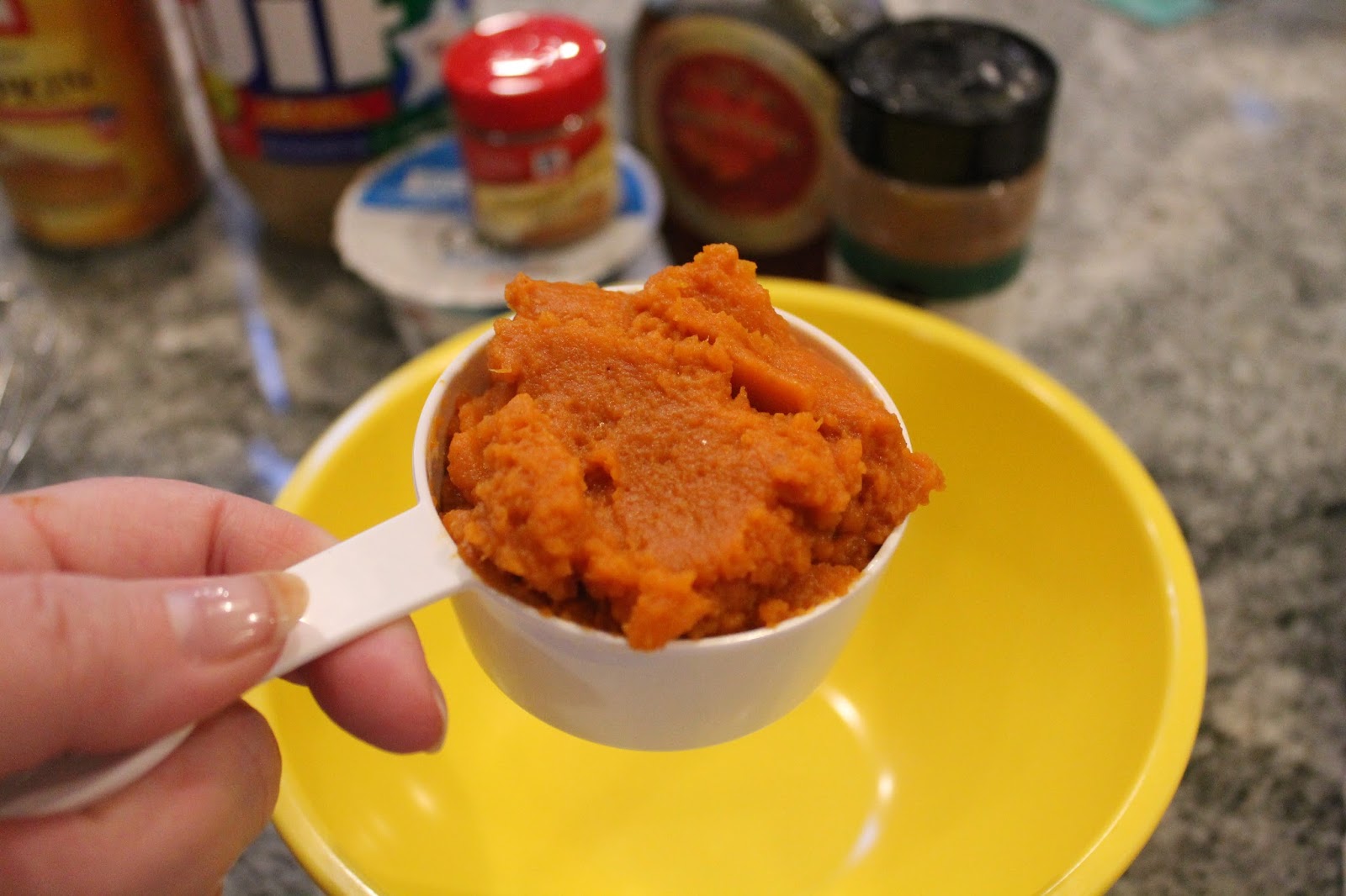Dinner with the Grobmyers Peanut Butter Pumpkin Greek Yogurt Dip